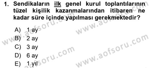 Toplu İş Hukuku Dersi 2015 - 2016 Yılı (Final) Dönem Sonu Sınav Soruları 1. Soru