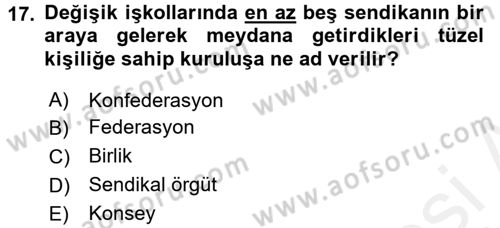 Toplu İş Hukuku Dersi 2015 - 2016 Yılı Tek Ders Sınav Soruları 17. Soru