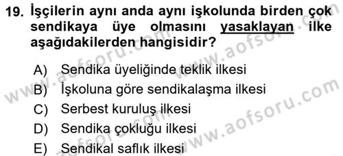 Toplu İş Hukuku Dersi 2015 - 2016 Yılı Tek Ders Sınav Soruları 19. Soru