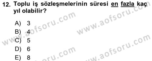 Toplu İş Hukuku Dersi 2016 - 2017 Yılı 3 Ders Sınav Soruları 12. Soru
