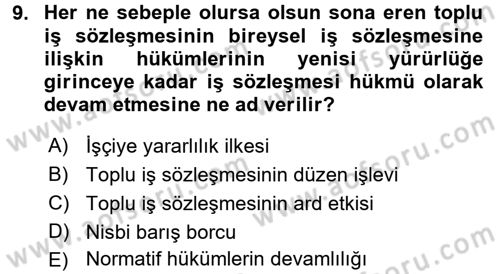 Toplu İş Hukuku Dersi 2016 - 2017 Yılı 3 Ders Sınav Soruları 9. Soru