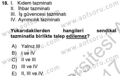 Toplu İş Hukuku Dersi 2016 - 2017 Yılı (Vize) Ara Sınav Soruları 18. Soru