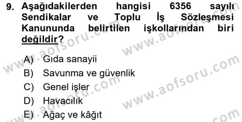 Toplu İş Hukuku Dersi 2016 - 2017 Yılı (Vize) Ara Sınav Soruları 9. Soru