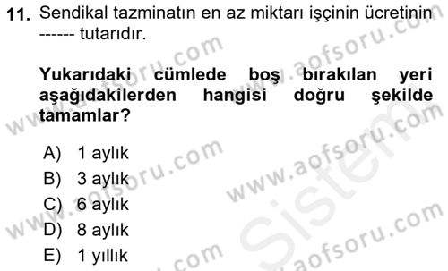 Toplu İş Hukuku Dersi 2018 - 2019 Yılı (Vize) Ara Sınav Soruları 11. Soru