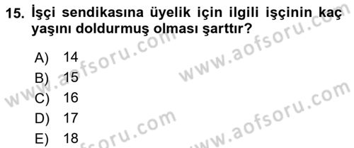 Toplu İş Hukuku Dersi 2018 - 2019 Yılı (Vize) Ara Sınav Soruları 15. Soru