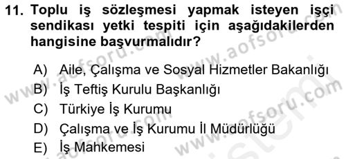 Toplu İş Hukuku Dersi 2018 - 2019 Yılı (Final) Dönem Sonu Sınav Soruları 11. Soru