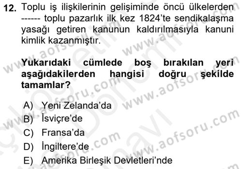Toplu İş Hukuku Dersi 2018 - 2019 Yılı (Final) Dönem Sonu Sınav Soruları 12. Soru