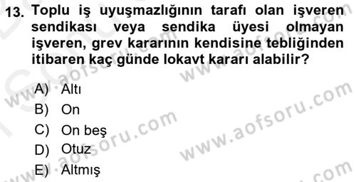 Toplu İş Hukuku Dersi 2018 - 2019 Yılı (Final) Dönem Sonu Sınav Soruları 13. Soru