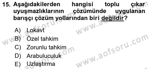Toplu İş Hukuku Dersi 2018 - 2019 Yılı (Final) Dönem Sonu Sınav Soruları 15. Soru