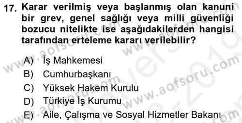 Toplu İş Hukuku Dersi 2018 - 2019 Yılı (Final) Dönem Sonu Sınav Soruları 17. Soru