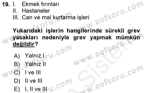 Toplu İş Hukuku Dersi 2018 - 2019 Yılı (Final) Dönem Sonu Sınav Soruları 19. Soru