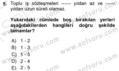 Toplu İş Hukuku Dersi 2018 - 2019 Yılı (Final) Dönem Sonu Sınav Soruları 5. Soru