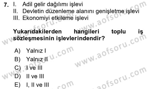 Toplu İş Hukuku Dersi 2018 - 2019 Yılı (Final) Dönem Sonu Sınav Soruları 7. Soru