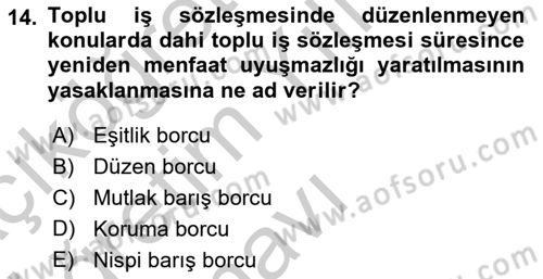 Toplu İş Hukuku Dersi 2018 - 2019 Yılı Yaz Okulu Sınavı 14. Soru