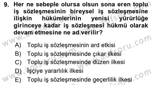 Toplu İş Hukuku Dersi 2018 - 2019 Yılı Yaz Okulu Sınavı 9. Soru