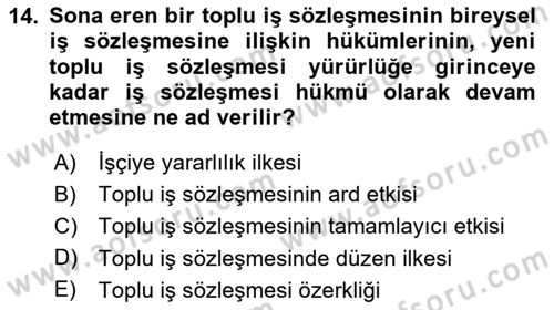 Toplu İş Hukuku Dersi 2020 - 2021 Yılı Yaz Okulu Sınav Soruları 14. Soru