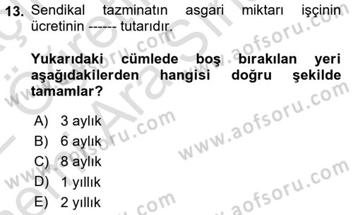 Toplu İş Hukuku Dersi 2021 - 2022 Yılı (Vize) Ara Sınav Soruları 13. Soru