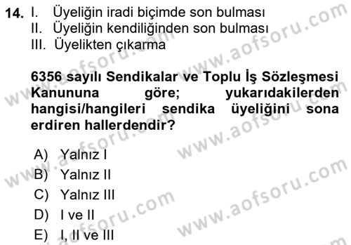 Toplu İş Hukuku Dersi 2021 - 2022 Yılı (Vize) Ara Sınav Soruları 14. Soru