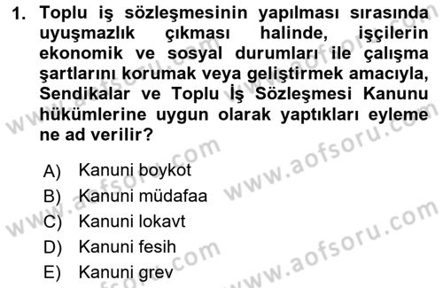 Toplu İş Hukuku Dersi 2021 - 2022 Yılı Yaz Okulu Sınav Soruları 1. Soru