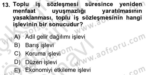 Toplu İş Hukuku Dersi 2021 - 2022 Yılı Yaz Okulu Sınav Soruları 13. Soru