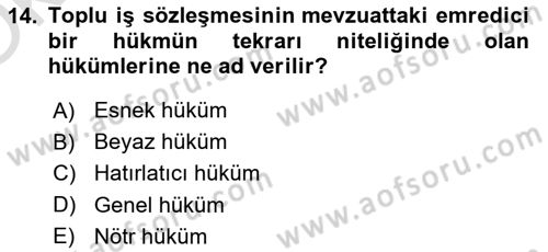 Toplu İş Hukuku Dersi 2021 - 2022 Yılı Yaz Okulu Sınav Soruları 14. Soru