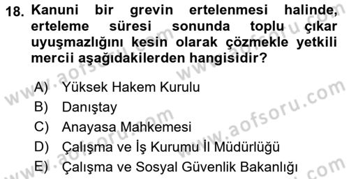 Toplu İş Hukuku Dersi 2021 - 2022 Yılı Yaz Okulu Sınav Soruları 18. Soru