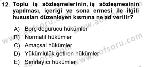 Toplu İş Hukuku Dersi 2022 - 2023 Yılı Yaz Okulu Sınav Soruları 12. Soru