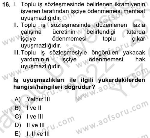 Toplu İş Hukuku Dersi 2022 - 2023 Yılı Yaz Okulu Sınav Soruları 16. Soru