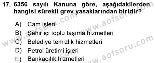 Toplu İş Hukuku Dersi 2022 - 2023 Yılı Yaz Okulu Sınav Soruları 17. Soru