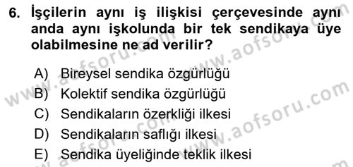 Toplu İş Hukuku Dersi 2022 - 2023 Yılı Yaz Okulu Sınav Soruları 6. Soru