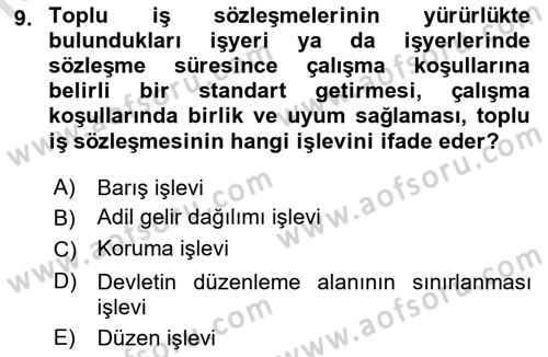 Toplu İş Hukuku Dersi 2022 - 2023 Yılı Yaz Okulu Sınav Soruları 9. Soru