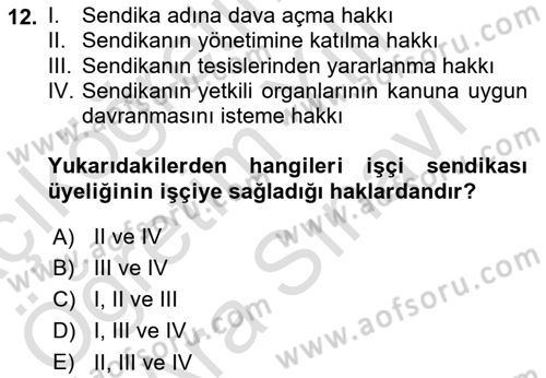 Toplu İş Hukuku Dersi 2023 - 2024 Yılı (Vize) Ara Sınav Soruları 12. Soru