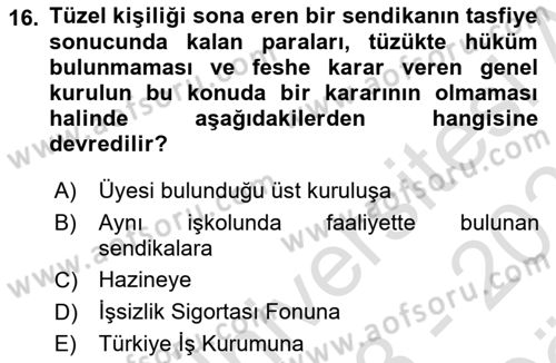 Toplu İş Hukuku Dersi 2023 - 2024 Yılı (Vize) Ara Sınav Soruları 16. Soru