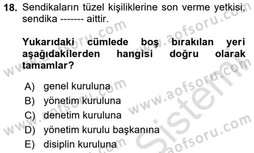 Toplu İş Hukuku Dersi 2023 - 2024 Yılı (Vize) Ara Sınav Soruları 18. Soru