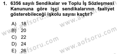 Toplu İş Hukuku Dersi 2023 - 2024 Yılı (Final) Dönem Sonu Sınav Soruları 1. Soru