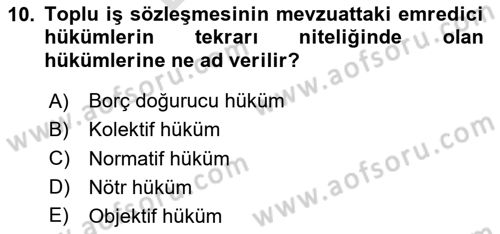 Toplu İş Hukuku Dersi 2023 - 2024 Yılı (Final) Dönem Sonu Sınav Soruları 10. Soru