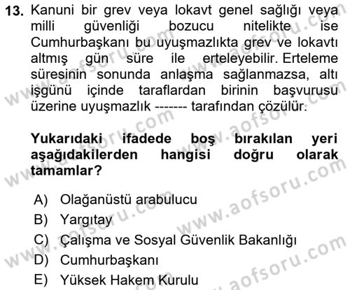 Toplu İş Hukuku Dersi 2023 - 2024 Yılı (Final) Dönem Sonu Sınav Soruları 13. Soru