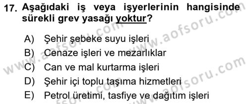 Toplu İş Hukuku Dersi 2023 - 2024 Yılı (Final) Dönem Sonu Sınav Soruları 17. Soru