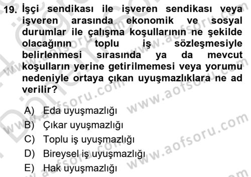 Toplu İş Hukuku Dersi 2023 - 2024 Yılı (Final) Dönem Sonu Sınav Soruları 19. Soru