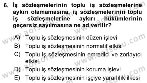 Toplu İş Hukuku Dersi 2023 - 2024 Yılı (Final) Dönem Sonu Sınav Soruları 6. Soru