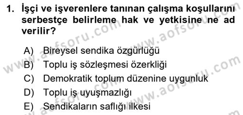 Toplu İş Hukuku Dersi 2023 - 2024 Yılı Yaz Okulu Sınav Soruları 1. Soru