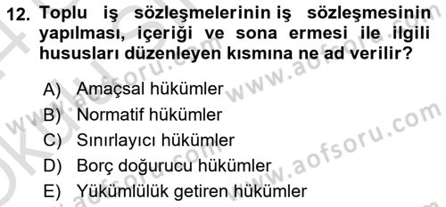 Toplu İş Hukuku Dersi 2023 - 2024 Yılı Yaz Okulu Sınav Soruları 12. Soru