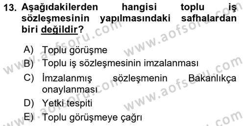 Toplu İş Hukuku Dersi 2023 - 2024 Yılı Yaz Okulu Sınav Soruları 13. Soru