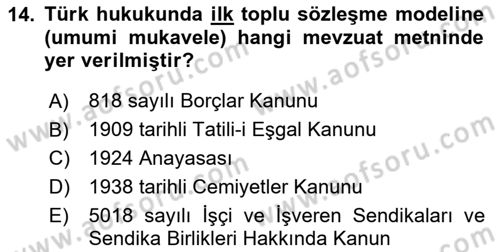 Toplu İş Hukuku Dersi 2023 - 2024 Yılı Yaz Okulu Sınav Soruları 14. Soru