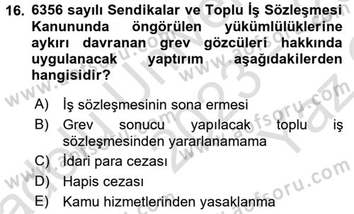 Toplu İş Hukuku Dersi 2023 - 2024 Yılı Yaz Okulu Sınav Soruları 16. Soru