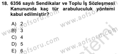 Toplu İş Hukuku Dersi 2023 - 2024 Yılı Yaz Okulu Sınav Soruları 18. Soru
