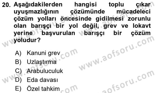 Toplu İş Hukuku Dersi 2023 - 2024 Yılı Yaz Okulu Sınav Soruları 20. Soru