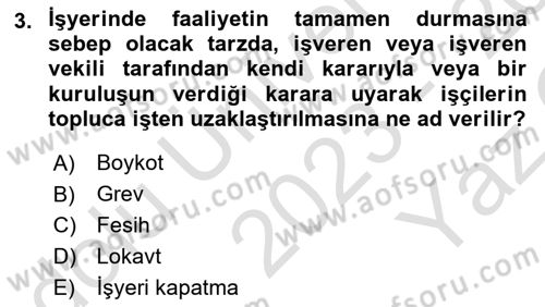 Toplu İş Hukuku Dersi 2023 - 2024 Yılı Yaz Okulu Sınav Soruları 3. Soru