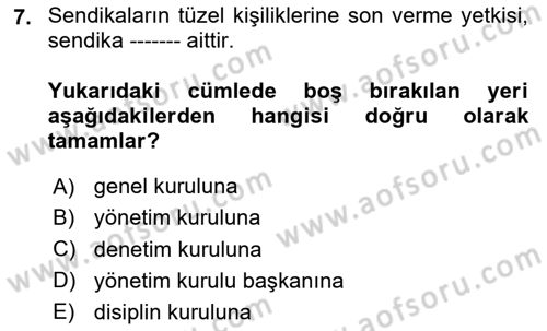 Toplu İş Hukuku Dersi 2023 - 2024 Yılı Yaz Okulu Sınav Soruları 7. Soru