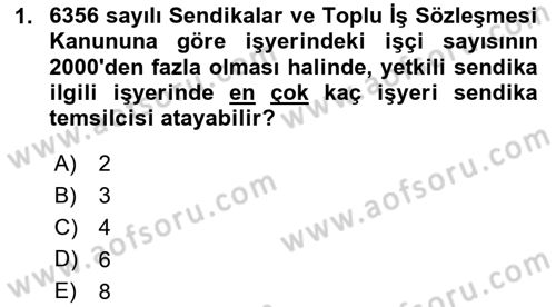 Toplu İş Hukuku Dersi 2024 - 2025 Yılı (Vize) Ara Sınav Soruları 1. Soru